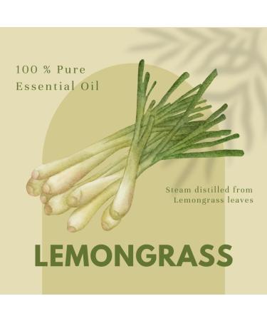 GreenHealth Lemongrass Essential Oil - 100% Pure 1 fl oz (30ml) - Buy Online on GoSupps.com
