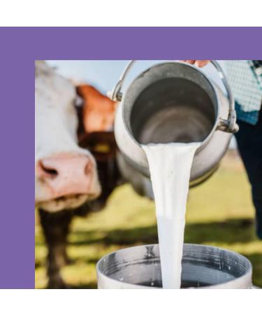 Milka Hazelnut and Cocoa Spread made with 100% Alpine milk and sunflower oil 600g - Buy Online on GoSupps.com