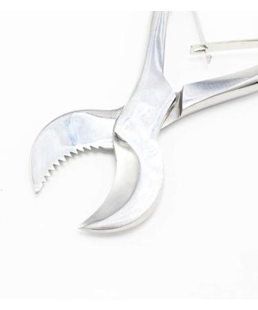Dental Pliers Plaster Nippers Cutter - Cow Horn Jaws, Serrated Blade, Spring Action (Large) - Hbmol - Buy Online on GoSupps.com