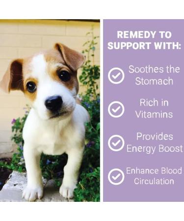 Pets Purest Life Drops for Puppies 10ml - Natural Puppy Gut Health & Energy Booster for Organ Development & Digestive Support - Buy Online on GoSupps.com