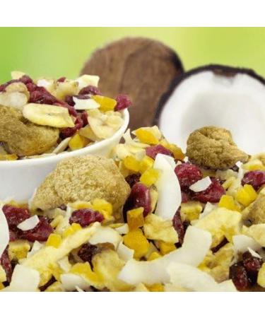 Original Delicacies Southern Fruit Mix Barf 200g | Premium Pure Fruit Dog Food & Feed Supplement - Buy Online on GoSupps.com