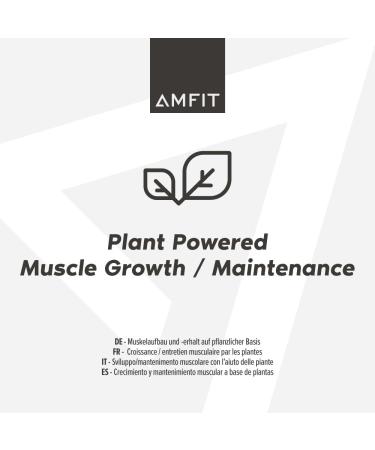 Amazon Brand Amfit Nutrition Low Sugar Plant Protein Bars - Almond 55g Pack of 12 | Healthy Snack for Fitness Enthusiasts - International Shipping Available - Buy Online on GoSupps.com