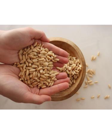 Mediterranean pine nuts Pine Nuts - High Protein Iron Fiber - 1 Pack (250g) - Buy Online on GoSupps.com