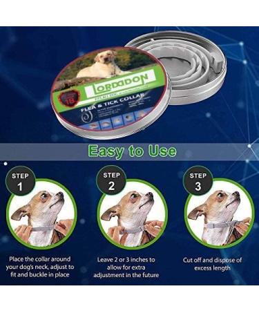 LORDDDON Repellent Dog Collar with Reflectors, Adjustable Design - 8 Months Protection - Small, Medium, Large - Buy Online on GoSupps.com