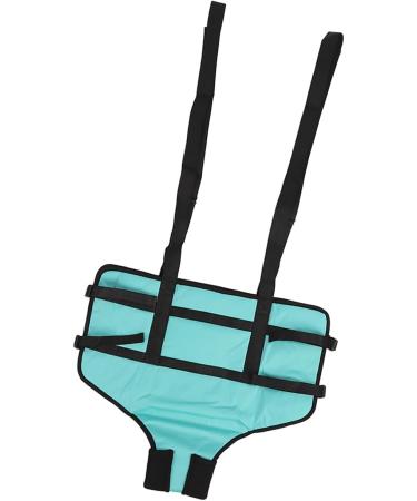 Patient Belts & Standing Aids | 4-Point Support Dirt-Repellent Toilet Solutions for Manual Lifting - Buy Online on GoSupps.com
