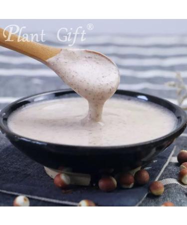 100% Pure Euryales Semen Powder Poudre naturelle de fruits Gorgon excellente saveur de boisson ar mes sains | Ajouter saveur et go t 100 g / 3 25 oz - Buy Online on GoSupps.com