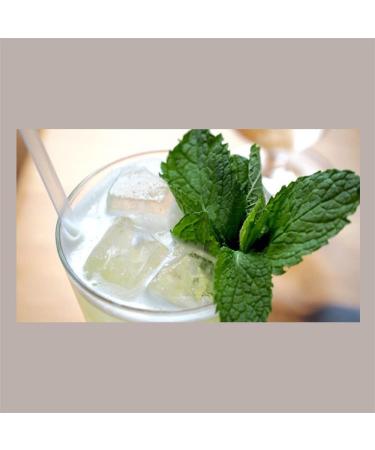 Lt (1300 gr) Sirop au go t de la menthe des Alpes Mixybar FABBRI pour bonbons cr me glac e Granite Yogourt Long Drink Cocktail Caffe Syrup - Buy Online on GoSupps.com