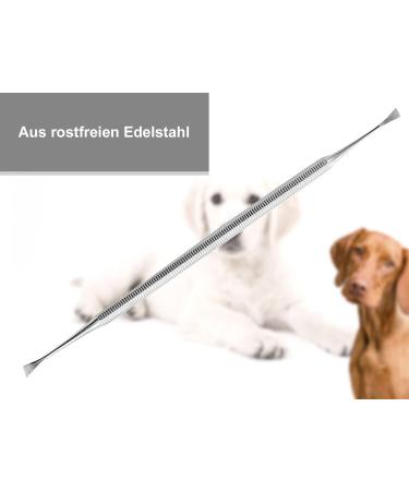 Dog Scaler Tartar Remover for Pets - Stainless Steel Teeth Cleaning Tool | Wing Shape Dental Care - Buy Online on GoSupps.com