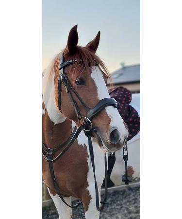 Countrypride ANATOMICAL BRIDLE ABRAM DIAMANTE BROWBAND WITH ANTI SLIP RUBBER REINS BLACK & BROWN Black Pony - Buy Online on GoSupps.com