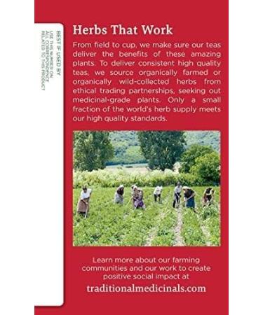 Traditional Medicinals - Organic Throat Coat Herbal Tea (Pack of 6) - Relief of Minor Throat Irritation - Sustainably Sourced Fair Wild Ingredients - 96 Tea Bags Total Throat Coat 16 Count (Pack of 6) - Buy Online on GoSupps.com