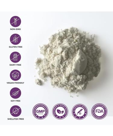 YOUTHVITA Daily Multivitamin for Women 20 Essential Vitamins & Minerals High Potency B-Complex Immune Energy & Bone Support 60 Capsules - Buy Online on GoSupps.com