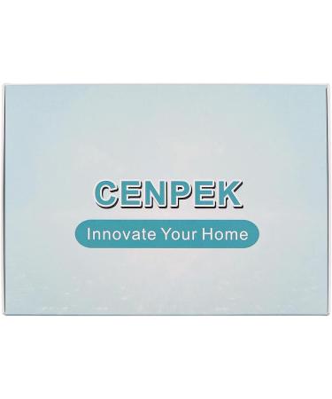 CENPEK Callus File 3 in 1 Multifunctional Foot Care Tool Stainless Steel Foot File with Pumice Stone Pedicure Tool for Removing Dead Skin Calluses and Cracked Heels - Buy Online on GoSupps.com