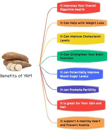 Yam - 1.5KG Product of Ghana - Buy Online on GoSupps.com