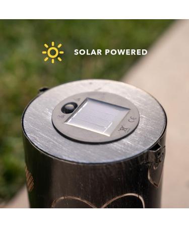 iHeartDogs Artisan Shadow Solar Lantern - 'Butterflies & Paws' Pet Memorial Gift - Honoring Your Departed Pet by Feeding 7 Shelter Pets - Buy Online on GoSupps.com