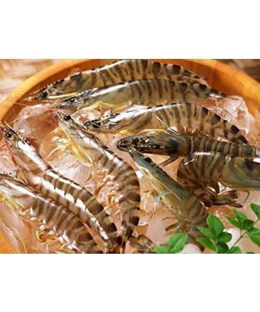 WENXUANSU: Vacuum packaged shrimp meat snack 8 Ounce (227 grams) from China Sea - Buy Online on GoSupps.com