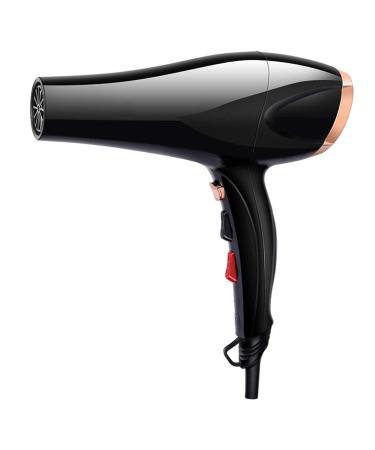 1800W Professional Hair Dryer With Air Nozzle Ionic Salon Powerful Hairdryer AC Motor Fast Blow Dryer With 3 Heat 2 Speed Cool Shot Long Cable Quiet Powerful Quick Drying for Home Salon Men Women Gold