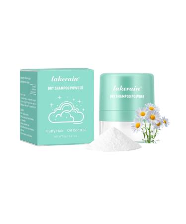 Dry Shampoo Powder Non Aerosol Dry Shampoo Powder Dry Shampoo Travel Size with Modified Corn Starch Get Instant Fullness No White Cast Suitable for Oily and All Hair Colors (01#)