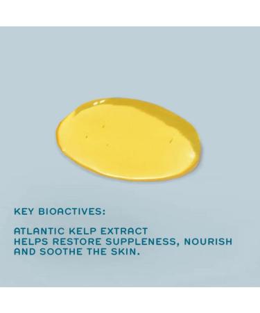 REN Clean Skincare Atlantic Kelp & Microalgae Anti-Fatigue Bath Oil 3.71 Fl Oz - Cruelty Free, Vegan Formula - Buy Online on GoSupps.com