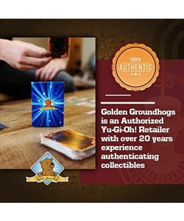 Yugioh 100 Card Lot with 10 Rares and 10 Holos in Golden Groundhog Treasure Chest Box - Buy Online on GoSupps.com