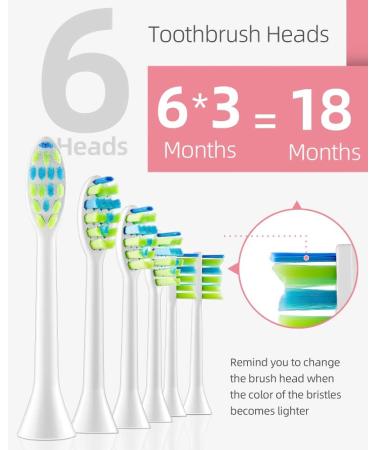 7am2m Sonic Electric Toothbrush with 6 Brush Heads for Adults and Kids Wireless Fast Charge One Charge for 60 Days 5 Modes with 2 Minutes Built in Smart Timer Electric Toothbrushes(Pink) No Travel Case Pink - Buy Online on GoSupps.com