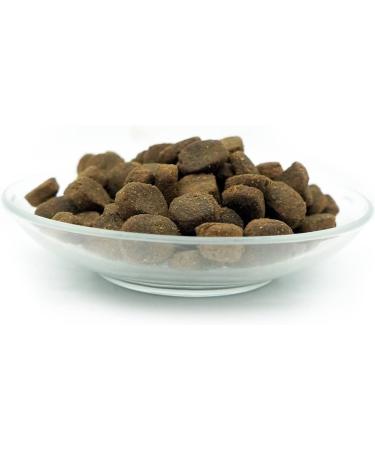 Bellfor Dog Food Set - Landgut-Happen 2.5 kg + Shiimun Gastro 200 g + Jute Bag for Dogs with Digestive Problems Complete Solution - Buy Online on GoSupps.com