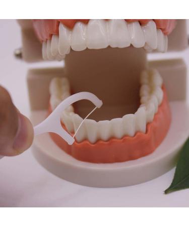 Advanced Fresh Clean Floss Picks - No Break No Shred Floss for Tight Teeth - 50 Pieces | International Shipping Available - Buy Online on GoSupps.com