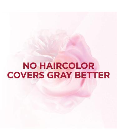 L'Oreal Paris Excellence Creme 5.5N Medium Neutral Brown Hair Color - Pack of 2 | 100% Gray Coverage Dye - Buy Online on GoSupps.com