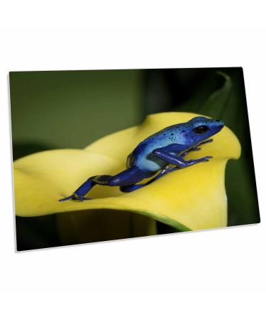 3dRose Blue Poison Dart Frog Blue Poison Arrow Frog. - Desk Pad Place Mats (dpd-314000-1)