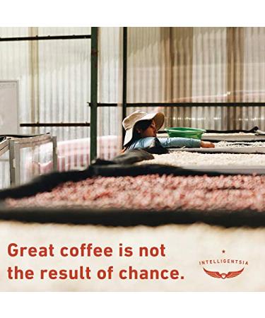 Intelligentsia Coffee House Blend Light Roast Ground Coffee 12oz Bag | Milk Chocolate, Citrus, Apple | Packaging May Vary - Buy Online on GoSupps.com
