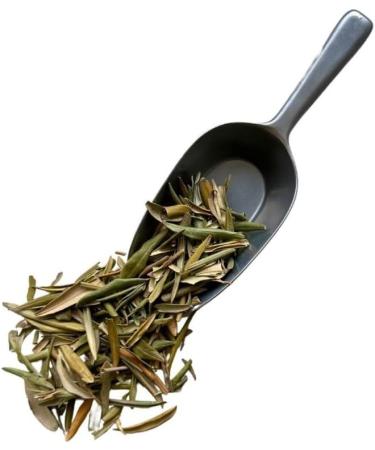 Olive leaf herbal tea 100 GRS Olea europea. - Buy Online on GoSupps.com
