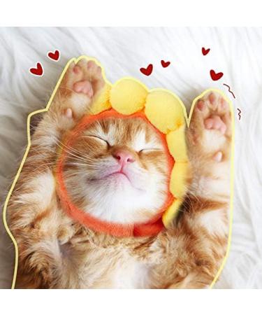 Weewooday 5 Pieces Cat Hat Cat Costume Bunny Hat with Ears Funny Banana Pineapple Cat Hat for Cats and Small Dogs Kitten Puppy Party Costume Accessory Headwear(Cute Style) - Buy Online on GoSupps.com