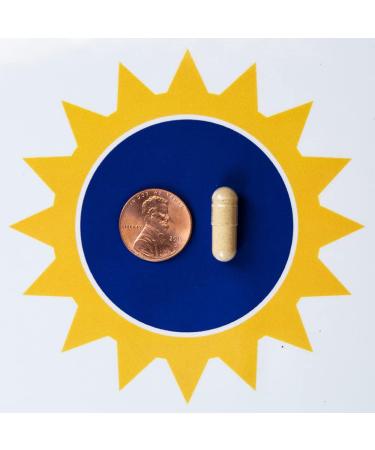 Rejuvenation Therapeutics Organic Ginger - Digestive Function Support (120 Vegan Capsules 500 mg) - Buy Online on GoSupps.com