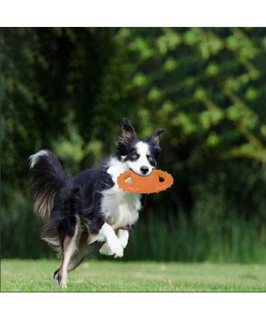 GERUI Dog Frisbee - Bite-Resistant Interactive Toy for Large & Medium Dogs | Outdoor Pet Play (Orange) - Buy Online on GoSupps.com