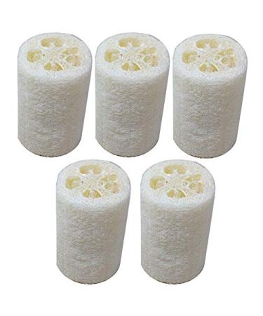 5 Pack Farm natural organic loofah sponge Skin cleansing skin exfoliation Bathing and Back caring spa body shower Puff Scrubber Lofa Loofa Luffa Loffa Daily skin care (4inch-5 pcs) 4 Inch-5 pcs