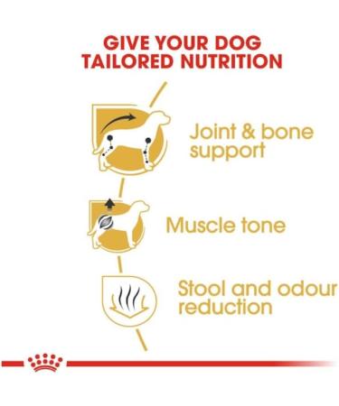 Royal Canin Adult Dachshund | Pack of 3 | 3 x 500 g | Complete Food for Dogs | Specially designed for Adult Dachshunds | Can Help Protect Bones and Joints - Buy Online on GoSupps.com