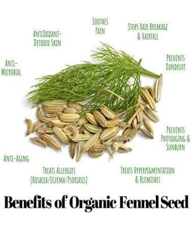 nalAmudhu Premium Fennel Seeds | Foeniculum Vulgare | Sounf | Sombu-200g - Buy Online on GoSupps.com