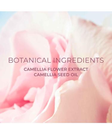 Ideal Creme Riche Face Moisturizer Cream 1.58 oz | Nourish Dry Skin with Camellia Seed Oil | Premium Korean Skincare - Buy Online on GoSupps.com