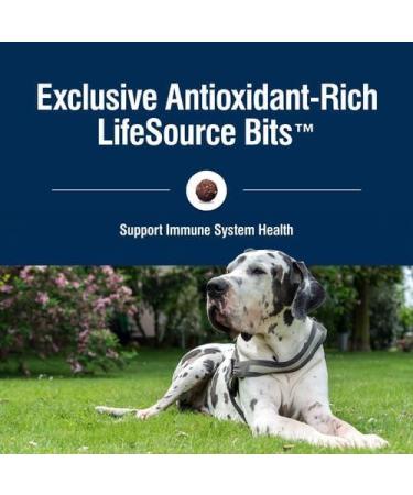 Blue Buffalo True Solutions Natural Mobility Care Adult Dry Dog Food Chicken 22-lb Mobility Care Dry Dog Food - Lg Bag - Buy Online on GoSupps.com