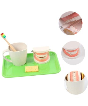 Buy Beavorty Learning Toothbrush Toys for Early Teething | Pedagogical Tooth Cleaning Model for Preschool - Buy Online on GoSupps.com