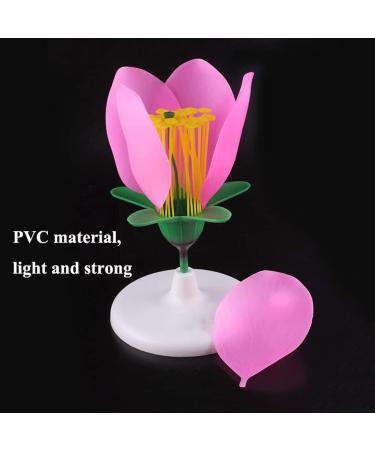 Portable Lifelike Plant Flower Anatomy Model with Display Base - Biology Teaching Aid - Buy Online on GoSupps.com