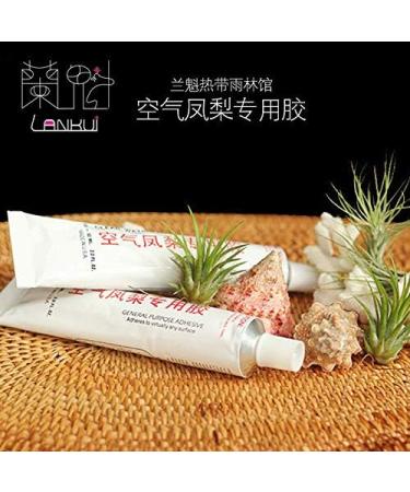 PLAT Firm Germinazione dei semi: 1 unit Lankui colla per Tillandsia o di un impianto generale 60ML 2 oz Stati Uniti d'America il trasporto Libero - Buy Online on GoSupps.com