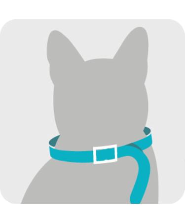 Sergeant's Guardian Flea & Tick Cat Collar - 1 Count | Long-lasting Protection - Buy Online on GoSupps.com