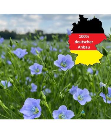 Buy German Organic Linseed Flour 4kg | Low Carb Keto-Friendly Vegan High Protein & Fiber | Regional Quality - Buy Online on GoSupps.com