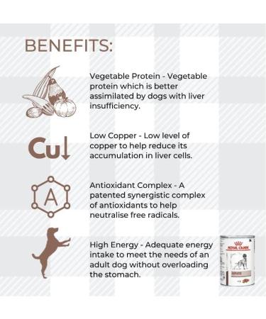 AETN Creations Hepatic Adult Dog Food Pack 2x420g Wet Food in Loaf Support Your Canine Companion's Liver Health Comes with AETN Chicken Jerky Dog Treat - Buy Online on GoSupps.com