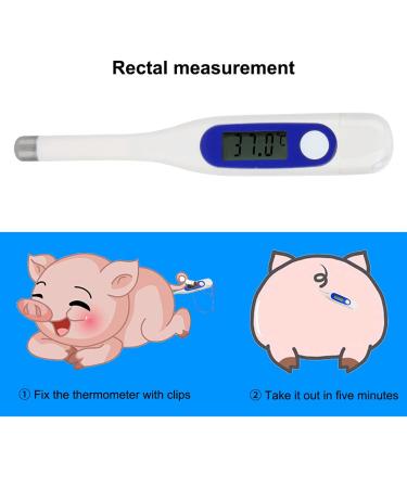 LCD Digital Animal Thermometer for Cattle Sheep Horses Pigs Dogs Use Veterinary - Buy Online on GoSupps.com