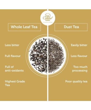 Tea Culture of The World 16 sachets de th la menthe marocaine sachets de th vert de qualit sup rieure feuilles de th vert marocain sachets de menthe Menthe 16 Count - Buy Online on GoSupps.com