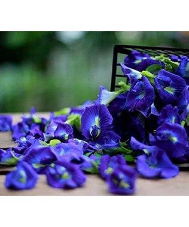 Dried Butterfly Pea Flowers by SellAllday (300 g) - Buy Online on GoSupps.com