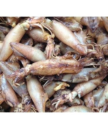 WENXUANSU: Vacuum packaged spicy seafood squid snack 2 Pound(908 grams)from China Sea - Buy Online on GoSupps.com