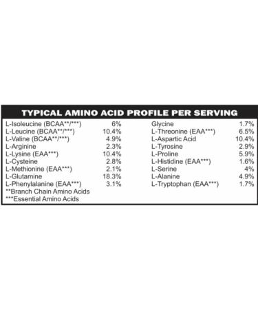 Low FODMAP Elemental Diet Protein Powder for IBS & SIBO | Keto Paleo Gluten-Free | All-Natural Chocolate Flavor with ProHydrolase Enzymes - Buy Online on GoSupps.com