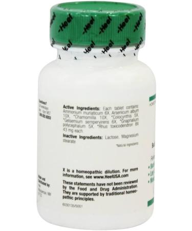 Heel - Back 300 mg 100 tabs | Natural Pain Relief Tablets - Buy Online on GoSupps.com